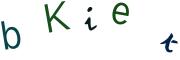 CAPTCHA на основе изображений